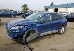 Salvage cars for sale at Woodhaven, MI auction: 2022 Ford Escape SE