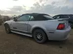 2003 Ford Mustang