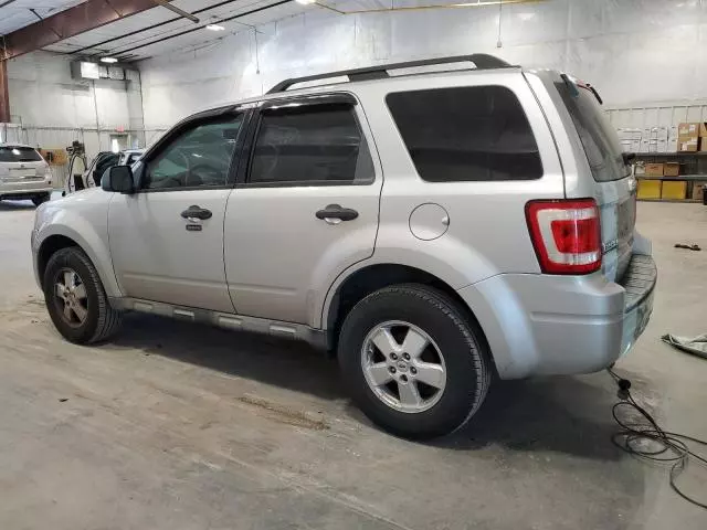 2009 Ford Escape XLT