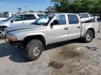 2000 Dodge Dakota Quattro