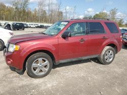 Ford Vehiculos salvage en venta: 2012 Ford Escape XLT