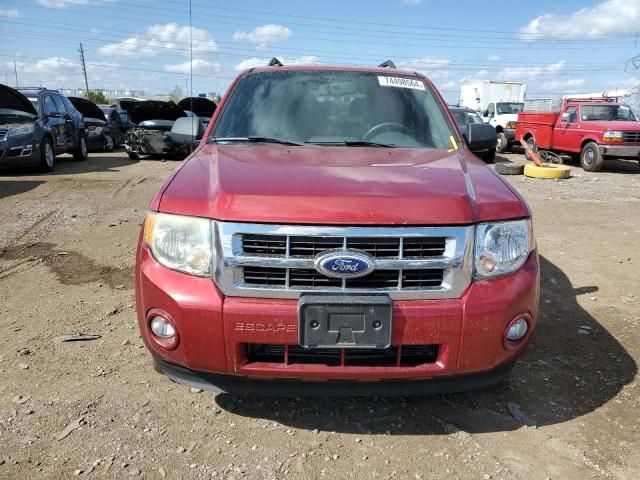 2009 Ford Escape XLT