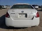 2005 Nissan Maxima SE