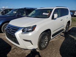 Salvage cars for sale at Arcadia, FL auction: 2014 Lexus GX 460 Premium