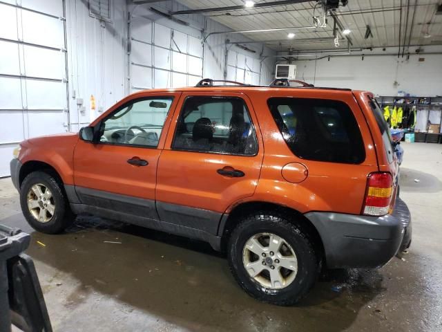 2006 Ford Escape XLT