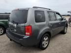 2010 Honda Pilot EXL