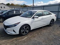 Salvage cars for sale at York Haven, PA auction: 2023 Hyundai Elantra SEL