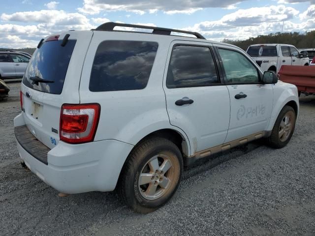 2010 Ford Escape XLT