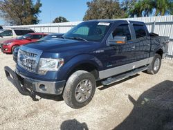 Ford salvage cars for sale: 2013 Ford F150 Supercrew