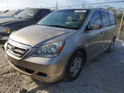 2005 Honda Odyssey EXL en venta en Riverview, FL