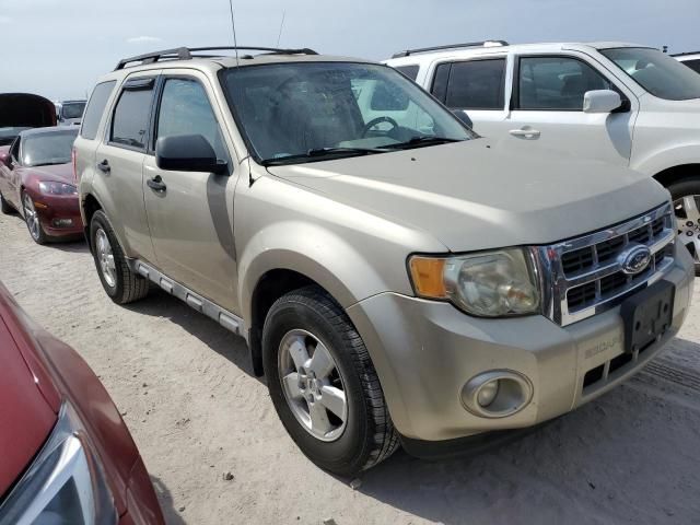 2010 Ford Escape XLT