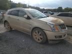 2010 Cadillac SRX Performance Collection