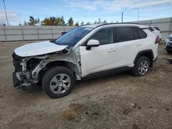 Salvage cars for sale at Nisku, AB auction: 2020 Toyota Rav4 LE