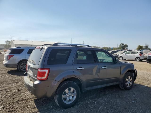 2012 Ford Escape Limited