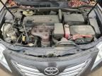 2009 Toyota Camry Hybrid