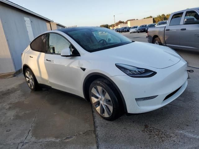 2020 Tesla Model Y