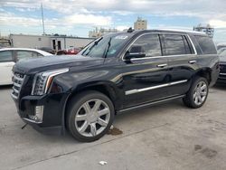 Cadillac salvage cars for sale: 2019 Cadillac Escalade Premium Luxury