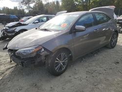 Salvage cars for sale from Copart Waldorf, MD: 2017 Toyota Corolla L