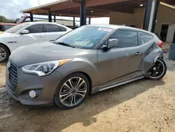 Hyundai Veloster salvage cars for sale: 2013 Hyundai Veloster Turbo