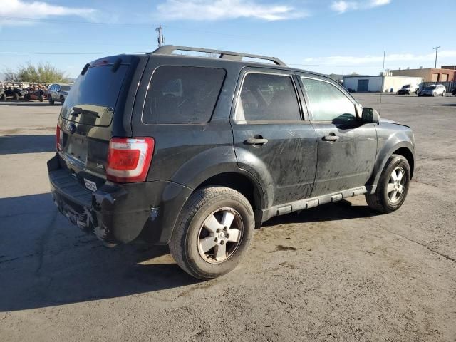 2012 Ford Escape XLT