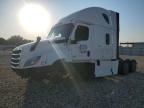 2019 Freightliner Cascadia 126