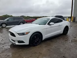 Salvage cars for sale at Memphis, TN auction: 2016 Ford Mustang