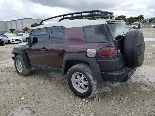 2007 Toyota FJ Cruiser