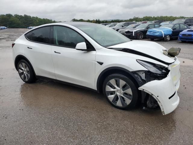 2020 Tesla Model Y