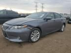 2013 Lexus ES 300H