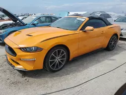 Carros salvage para piezas a la venta en subasta: 2019 Ford Mustang