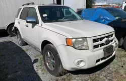 Ford salvage cars for sale: 2009 Ford Escape XLT