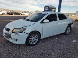 Salvage cars for sale at Phoenix, AZ auction: 2010 Toyota Corolla Base