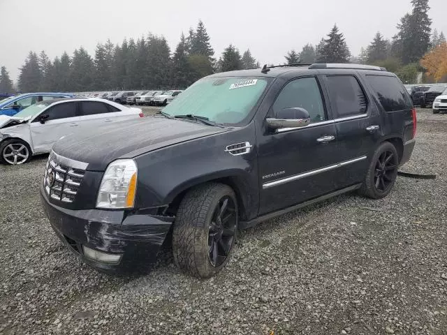 2011 Cadillac Escalade Premium