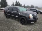 2011 Cadillac Escalade Premium