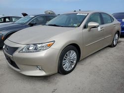 Salvage cars for sale from Copart Arcadia, FL: 2014 Lexus ES 350