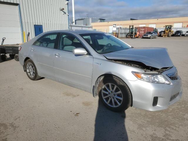 2010 Toyota Camry Hybrid