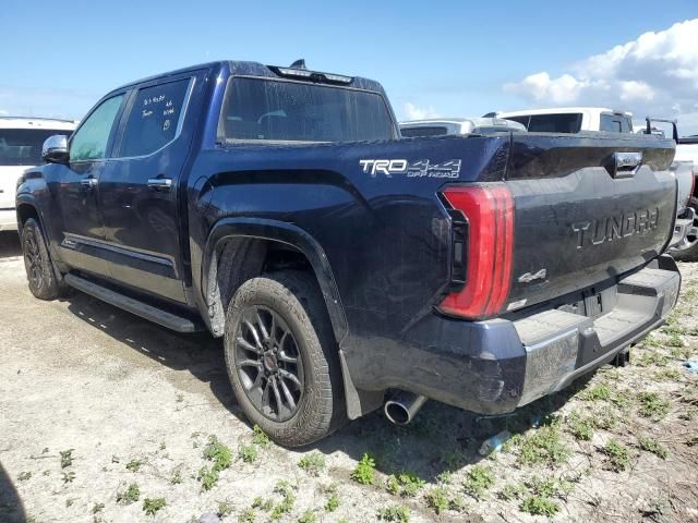 2023 Toyota Tundra Crewmax Platinum