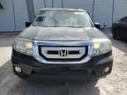 2011 Honda Pilot EXL