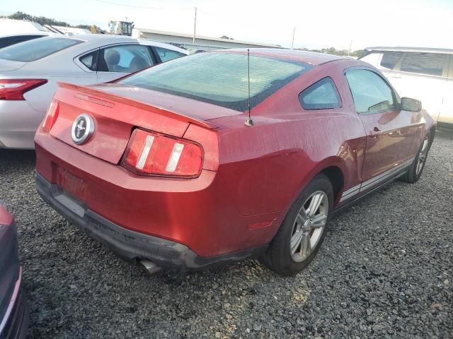 2010 Ford Mustang