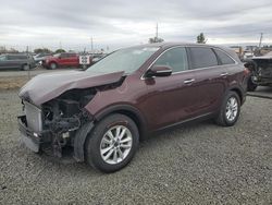 Salvage cars for sale at Eugene, OR auction: 2019 KIA Sorento LX