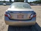 2007 Toyota Camry Hybrid