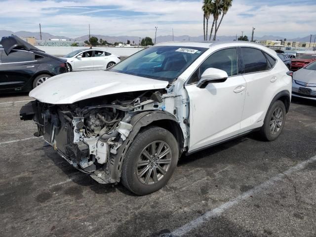 2019 Lexus NX 300H