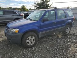 Salvage cars for sale at Windsor, NJ auction: 2005 Ford Escape XLS