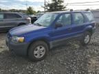 2005 Ford Escape XLS