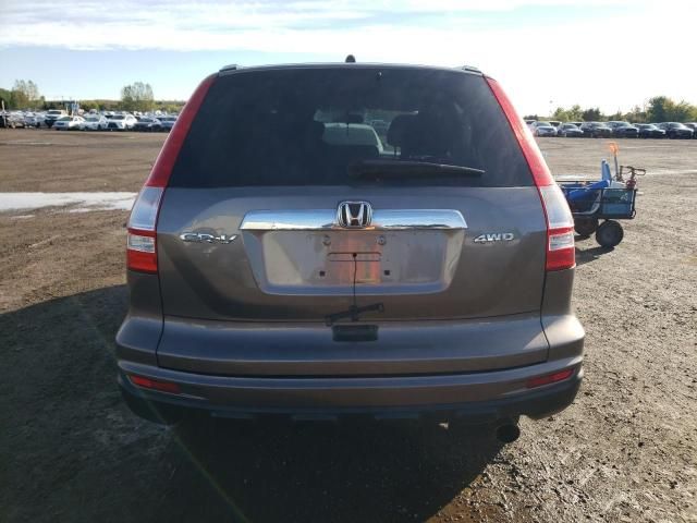 2010 Honda CR-V EX