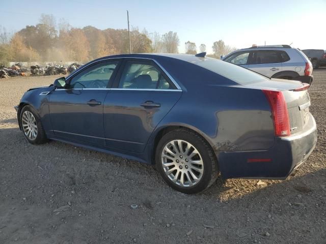 2010 Cadillac CTS Performance Collection