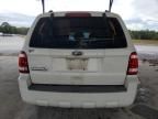 2010 Ford Escape XLS