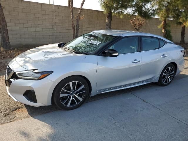 2023 Nissan Maxima SV