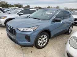 Salvage cars for sale from Copart Arcadia, FL: 2024 Ford Escape Active