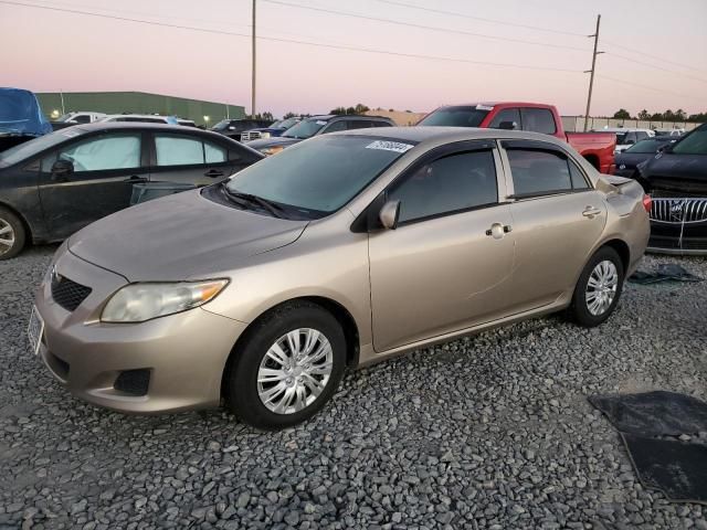 2010 Toyota Corolla Base